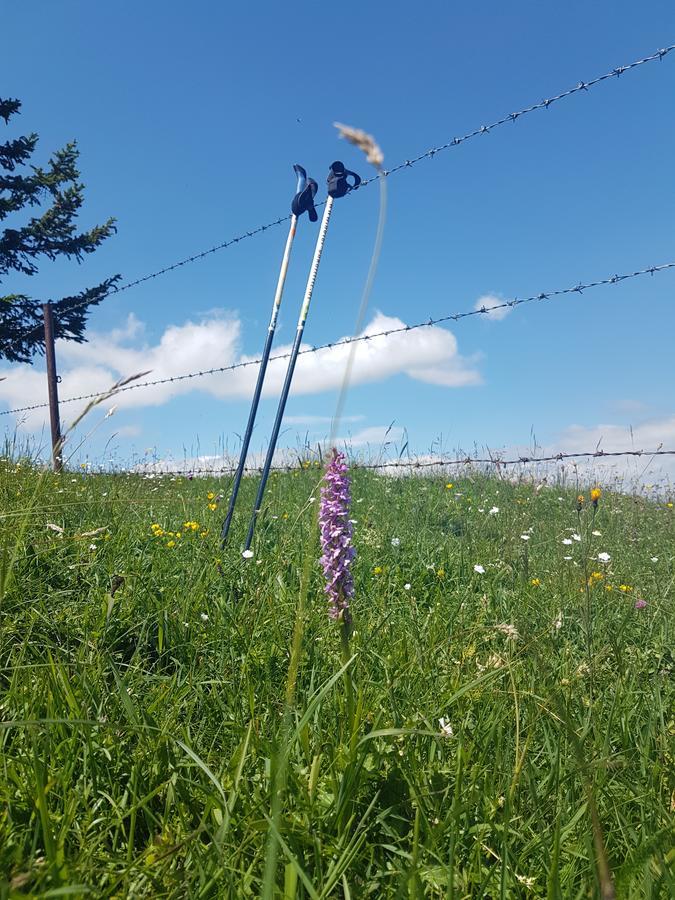 B&B Hotel Das Onkel Fritz Spital am Semmering Zewnętrze zdjęcie